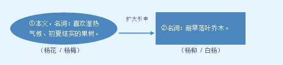 汉字“杨”的起源、演变过程