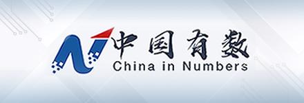 网上中国