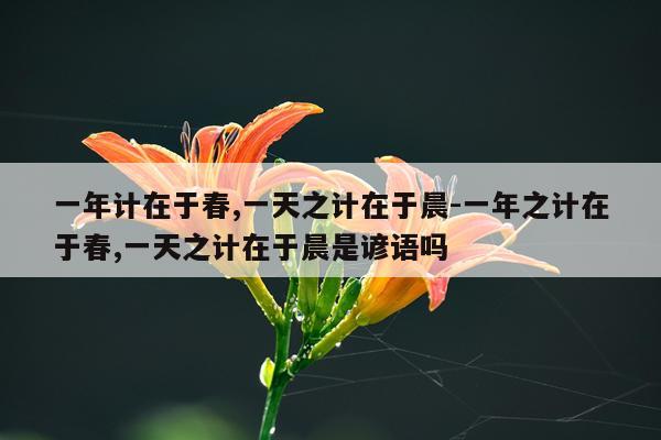 一年计在于春,一天之计在于晨-一年之计在于春,一天之计在于晨是谚语吗