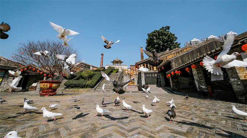 广东省佛山市禅城区