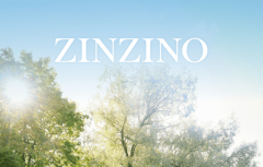 牵手“有赞”！圣希诺Zinzino进军中国市场首月