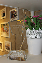 最佳解决方案提供商-奖杯