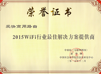 最佳解决方案提供商-奖状