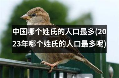 h3/p哪个姓氏的人口最多(2025年哪个姓氏的人口最多呢)