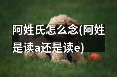 h3/p阿姓氏怎么念(阿姓是读a还是读e)